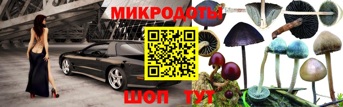 Североморск  Псилоцибиновые грибы Psilocybe  Вход с VPN  Псилоцибиновые грибы прущие грибы 